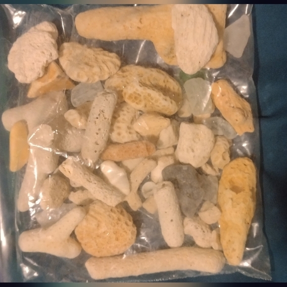 Corals and Beach Gems - Picture 2 of 7